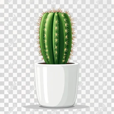 Cute cartoon cactus is placed on a cylindrical white pot. Pure white background. High quality.