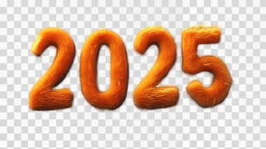 Letter "2025” designed with ginger fur texture, vibrant texture, Pixar style, 3D style, realistic style, glossy and shiny rendering, ultra detailed