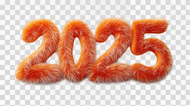 Letter "2025” designed with ginger fur texture, vibrant texture, Pixar style, 3D style, realistic style, glossy and shiny rendering, ultra detailed
