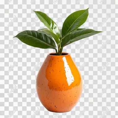 Orange vase with a plant on a white background