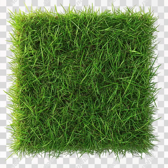 Verdant Grass Texture on Crisp White Canvas