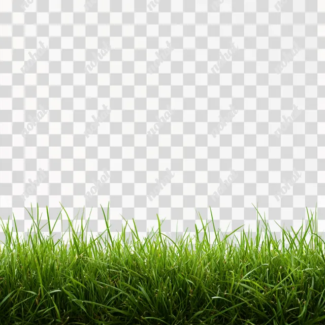 Elegant Grass Texture on Clean White Canvas