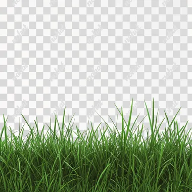 grass texture with white solid background