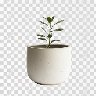 a simple offwhite flowerpot with no pattern on a white background