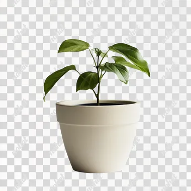 a simple offwhite flowerpot with no pattern on a white background