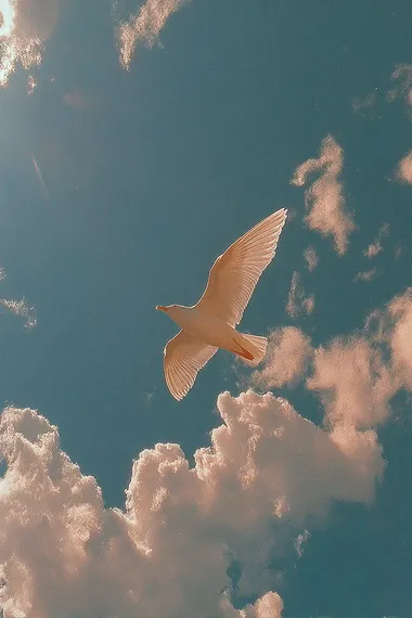 white bird flying on a blue sky  --raw  469439129 3232544703 2489920983 --sv 4
