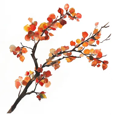 loose style watercolor redburd branch