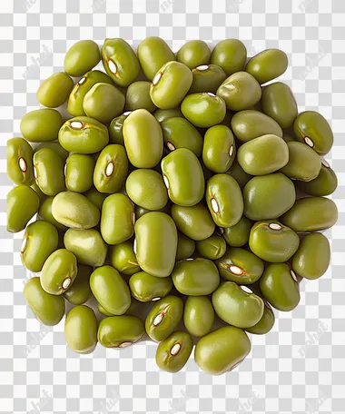 A mung bean, rendered with real textures and a white background. The beans are oval in shape with visible seed teeth on the surface. It is depicted as a solid, high quality, oc rendered without any internal structure or reflection  --s 250