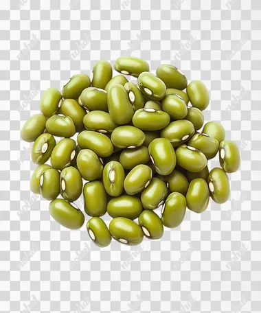 A mung bean, rendered with real textures and a white background. The beans are oval in shape with visible seed teeth on the surface. It is depicted as a solid, high quality, oc rendered without any internal structure or reflection  --s 250