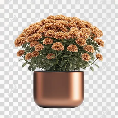 a realistic image of an autumn modern plant pot with chrysanthemums in it, white background