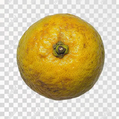 lemon isolated on white, top view  --s 125