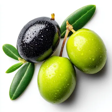 A few olives of different colors, black and green olives with leaves on a white background, high resolution, product photography style, hyper-realistic, studio lighting, high detail, high contrast, professional color grading, isolated in the middle of the picture, white background.   --raw rofile wum6g77