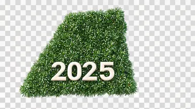 christmas tree shaped "2025", isolated on white background, png image