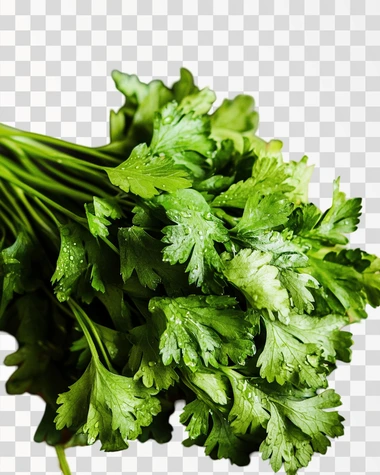 A macro photograph of vibrant green parsley leaves, their textured surface glistening with water droplets, taken in a clean and minimalist setup.