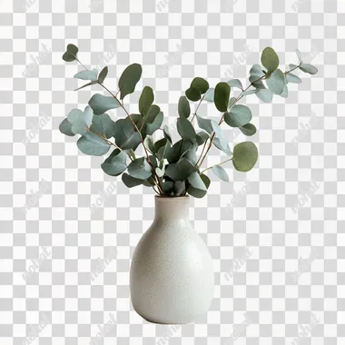 A small vase with fresh eucalyptus branches isolated on white background
