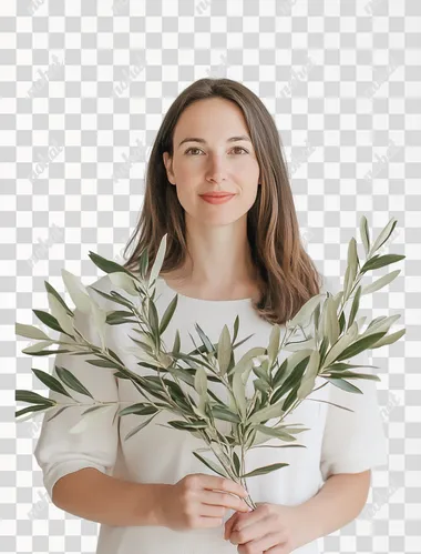A botanical illustration of an olive branch with leaves and flowers, on a white background, in the style of John Constable and James Audubon for the book The Formal Garden.