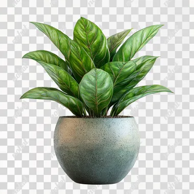 3d plant. Plant is in the pot. Front side. white background.