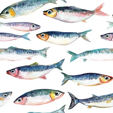 bold pastel watercolor illustration of sardines on a white background only