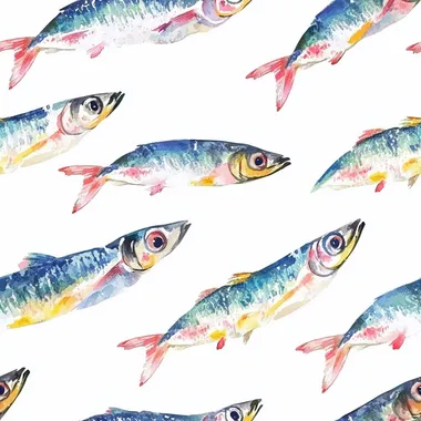 bold pastel watercolor illustration of sardines on a white background only