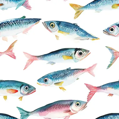 bold pastel watercolor illustration of sardines on a white background only