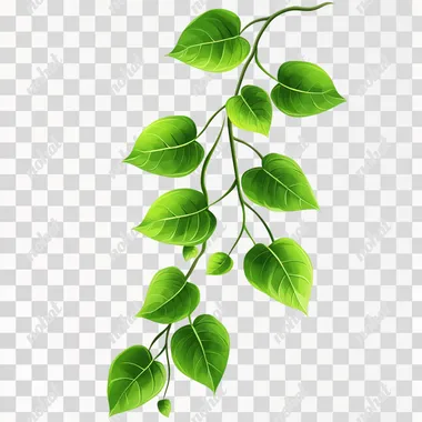 Png pictures of green leaves  --s 200
