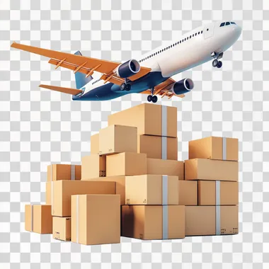 customs consultancy. white background
