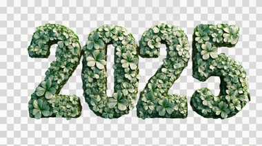 the number “2025” made of shamrocks