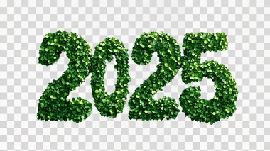 the number “2025” made of shamrocks