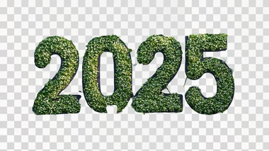 the number “2025” made of shamrocks
