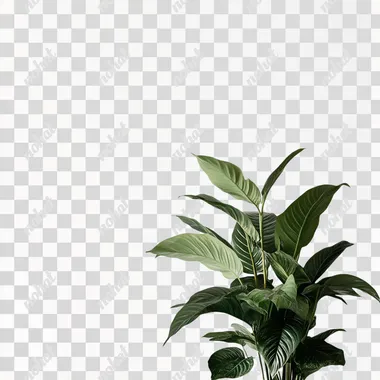 hyper realisitic, green indoor plant, white blank space as the background