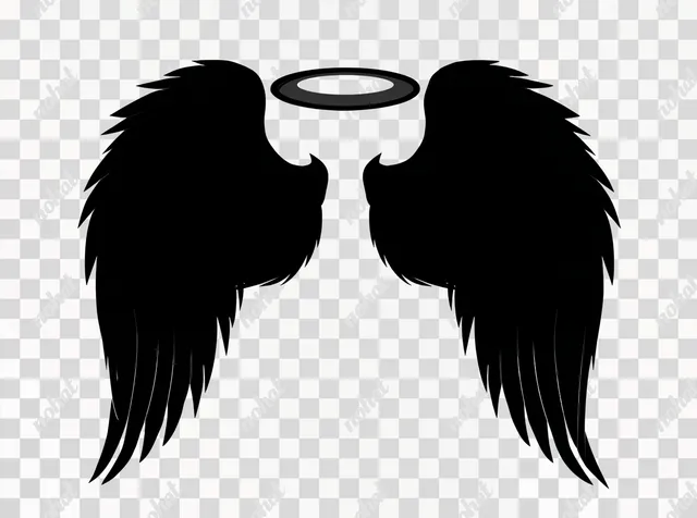 PNG Minimalist Black Angel Wings with Halo
