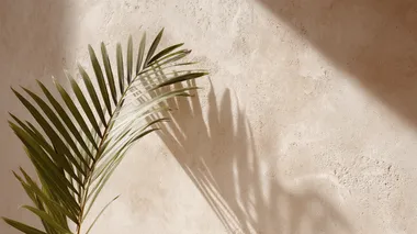 soft shadow of palm leaves projected on a sand beige wall  --raw rofile 5nnboyz
