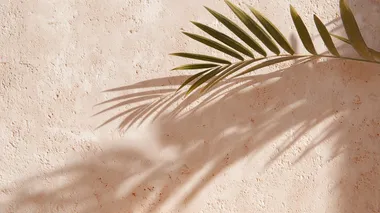 soft shadow of palm leaves projected on a sand beige wall  --raw rofile 5nnboyz