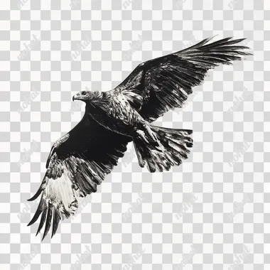 vulture flying mid air, white background,