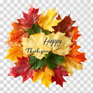 "Happy Thanksgiving" font on fall leaves, on white background