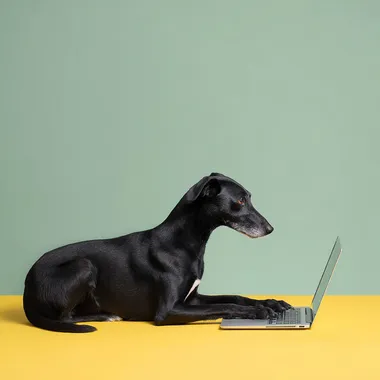 a dog typing using a laptop keyboard   2nosk3t
