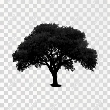 Black vector tree silhouette logo on a white background, a simple design with an elegant and professional look. The tree is large, with leaves covering the entire top of it, in a solid black color with a vector art style. The design features elegant elements, high resolution, no shadows, sharp edges, clean lines, and a symmetrical composition on a white background. This is a high-quality, high-contrast image, created by a professional graphic designer or artist.  --s 250