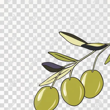 olive (birthday), elaborated, 2010s, natural lighting, noon, flat illustration style, with a simple drawing on a white background, vector image, cartoon, high resolution, high detail, and high quality,  rusty old
