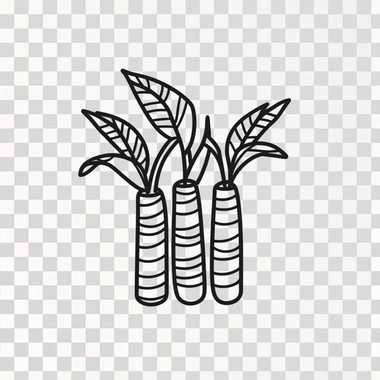 fruits sugar cane icon, minimal, black and white, isolated