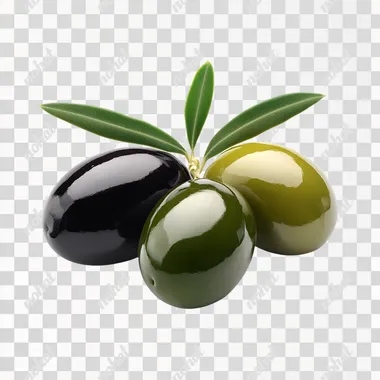realistic photo of color mix of 3 fresh olives, green, dark green, black, on white background