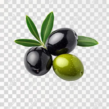 realistic photo of color mix of 3 fresh olives, green, dark green, black, on white background
