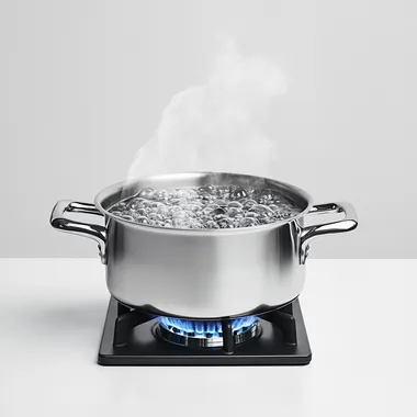 A realistic SIDE view photo of a stainless steel pot on a gas stove with boiling water inside, visible steam rising. White background, high-quality food photography