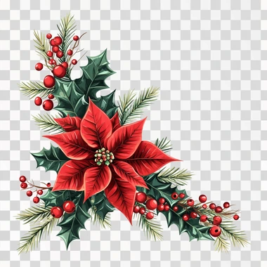 Design a Christmas-themed vector illustration featuring a poinsettia flower as the central focus, arranged in a triangular composition suitable for placing in a corner. The design should include vibrant red poinsettias, holly leaves, pine branches, and clusters of red berries. Arrange the elements to form a balanced triangle, with the poinsettia at the apex and the greenery and decorative elements extending outward in a harmonious and festive pattern. Use a clean and crisp style with a soft color palette of greens, reds, and hints of gold to match a classic holiday aesthetic, ensuring the vector is well-suited for digital and print purposes
