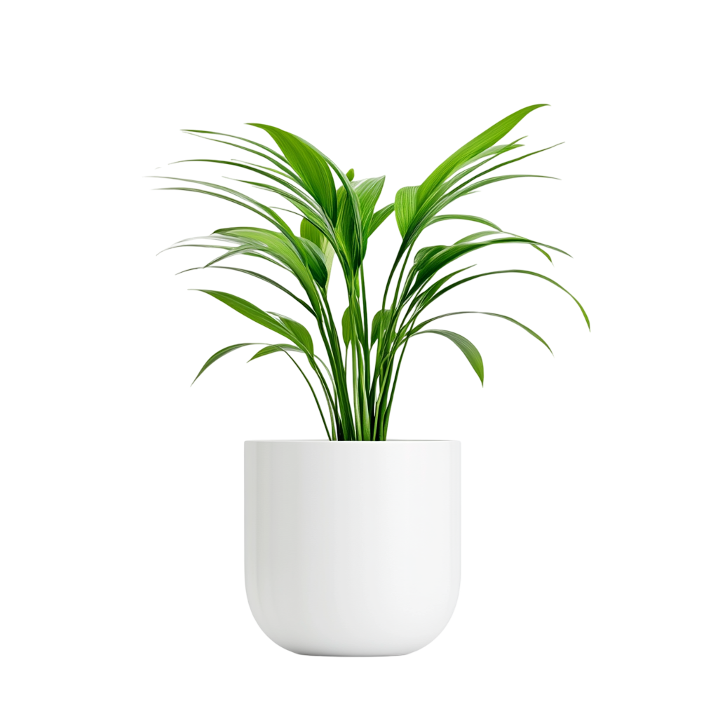 Free: Chic Indoor Plants for Contemporary Interior Design - nohat.cc