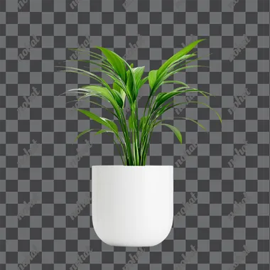 A Modern indoor plants, featuring a white background without shadows, perfect for incorporating into interior design elements   fnnrhuv