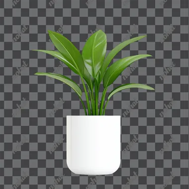 A Modern indoor plants, featuring a white background without shadows, perfect for incorporating into interior design elements   fnnrhuv