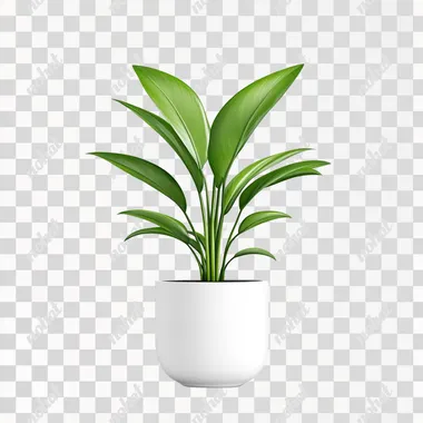 A Modern indoor plants, featuring a white background without shadows, perfect for incorporating into interior design elements   fnnrhuv