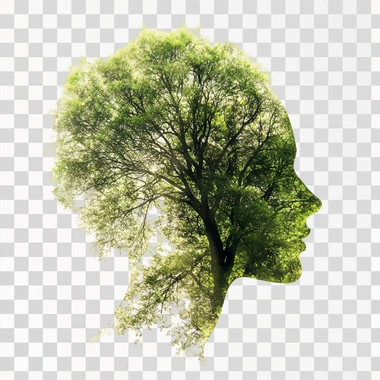 green tree on white background