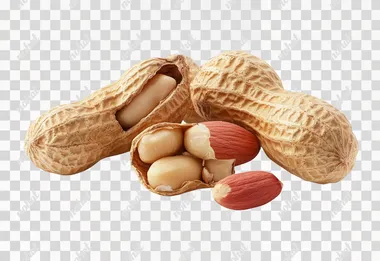 Peanuts, high-resolution photo of peanuts with the skin open, showing their shells on a white background