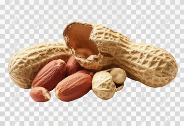 Peanuts, high-resolution photo of peanuts with the skin open, showing their shells on a white background